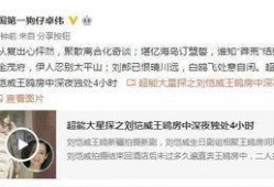 正面回应爆料视频大全,真相与澄清的集结