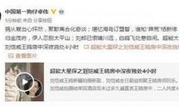 正面回应爆料视频大全,真相与澄清的集结