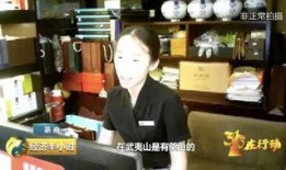 爆料茶叶的视频大全集,视频大全集深度解析