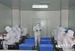 昆明口罩爆料事件最新,揭露背后真相与反思防疫措施
