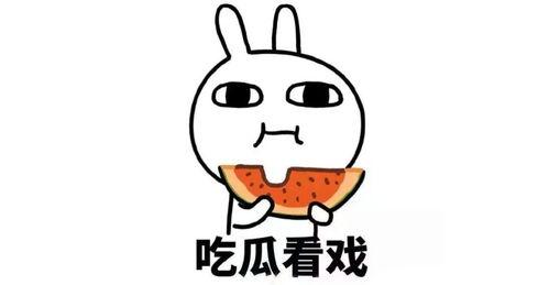 吃瓜群是什么群