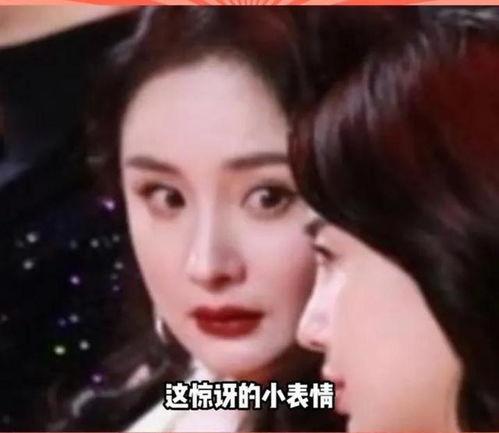 吃瓜的娱乐圈,揭秘明星幕后故事